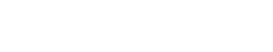 Global biot